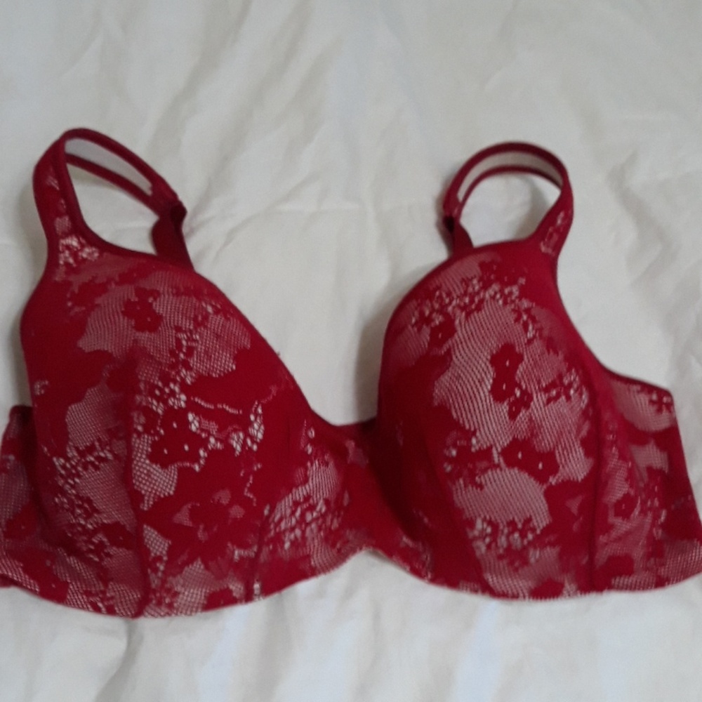 Lane Bryant Bra 40DDD